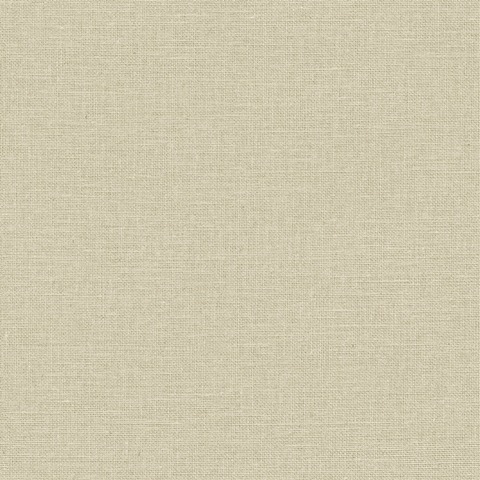 Текстура Jute 104017230
