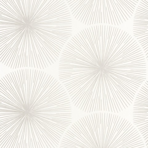 Текстура So white 4 SWHT82040124