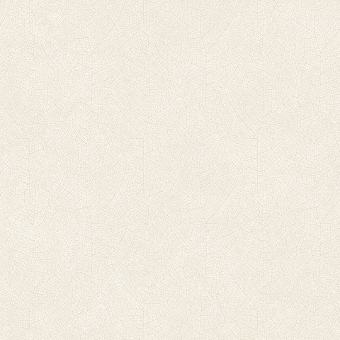 Текстура Woods WOOD26211119