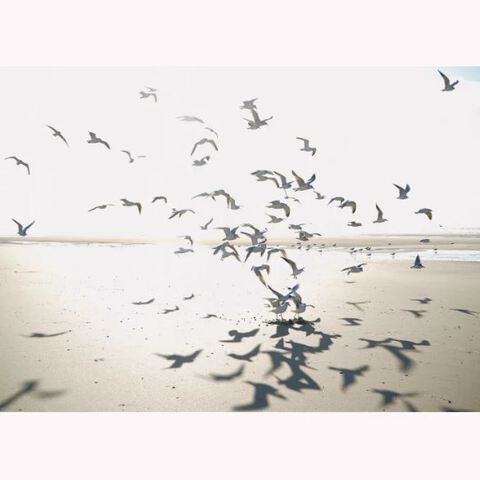 Текстура Seaside 201531010
