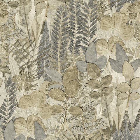 Текстура Herbarium HED27294
