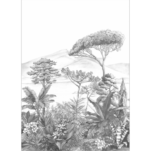 Текстура Nos Gravures 103050978