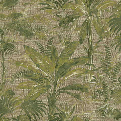 Текстура Jwall Forest 50104