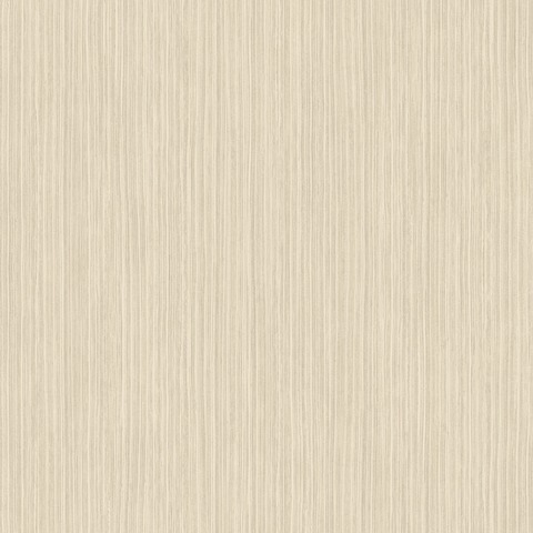 Текстура Encyclopedia ENCY82651238