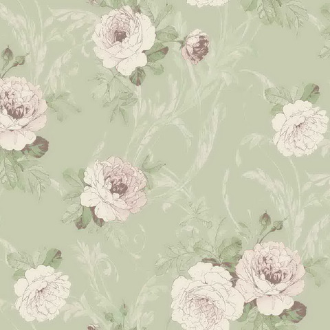 Текстура Rosa Dragomirski R1005