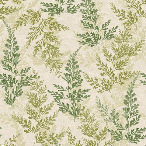 Текстура Herbarium HE27282