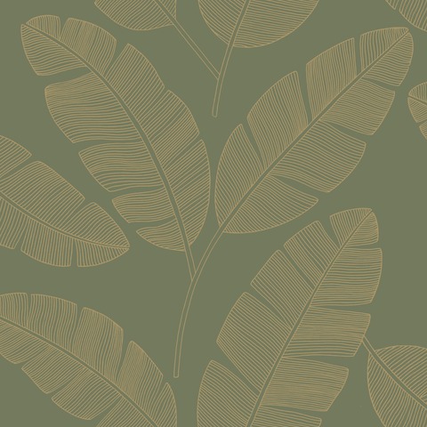 Текстура Green & Co 101107142