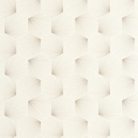 Текстура Graphic 105520945