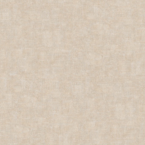 Текстура Mini Trend Z15533