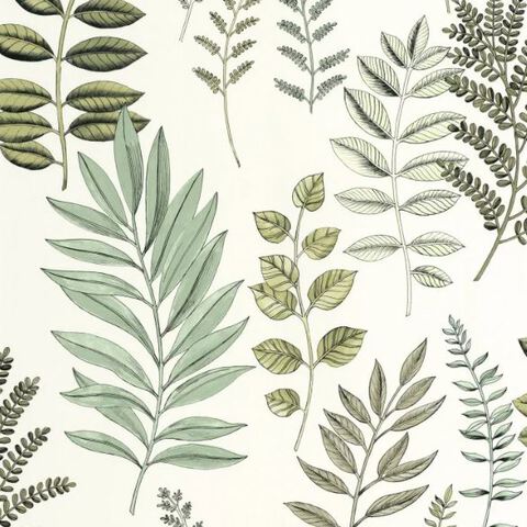 Текстура Art of Botany 106660782