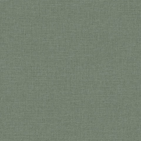 Текстура Jute 104017789