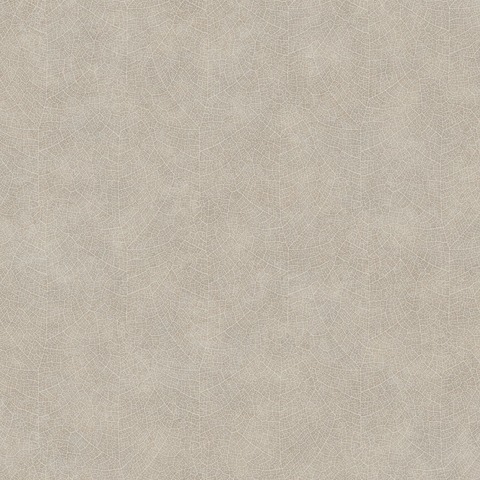 Текстура Woods WOOD26211204