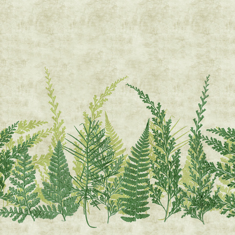 Текстура Herbarium HED27293