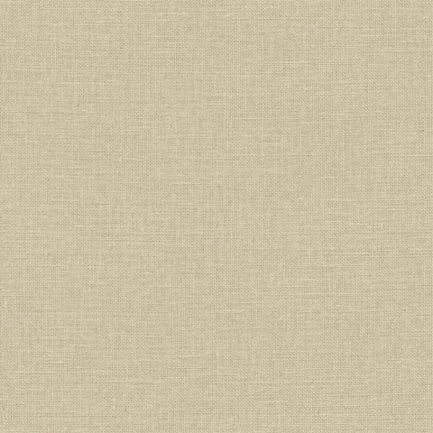 Текстура Jute 104011025