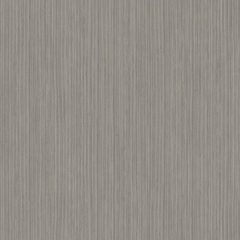 Текстура Encyclopedia ENCY82651340